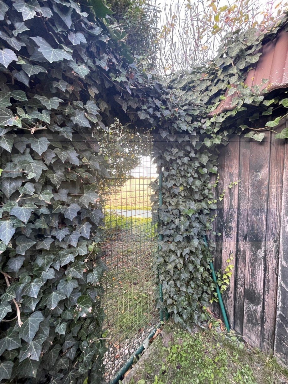 Pforte zum Feldweg Einfamilienhaus Gr�mitz