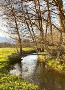 Flussaue-Seeve Gem�tliche Firmenwohnung-Ferienwohnung-Panoramablick in Seevetal - mit Bahnanbindung nach Hamburg