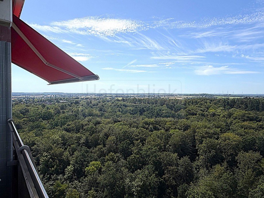 Blick �ber den Kammerwald Etagenwohnung Timmendorfer Strand