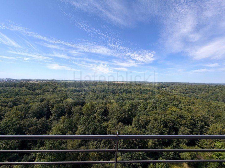 Blick �ber den Kammerwald Etagenwohnung Timmendorfer Strand