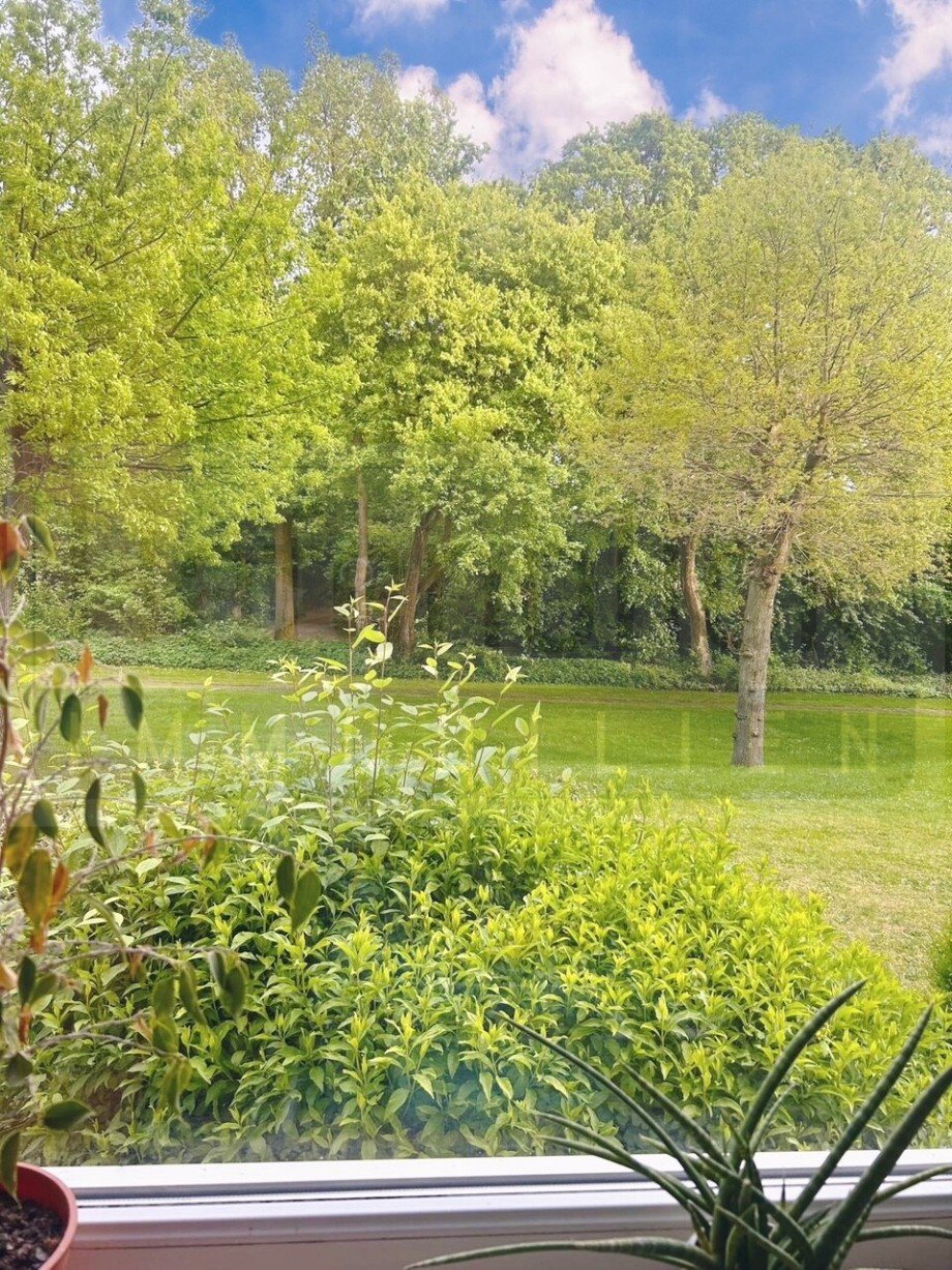 Fensterblick ins Gr�ne Erdgeschosswohnung L�beck / Travem�nde