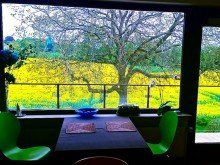 Panoramablick �ber 2 Felder durch einen Wallnussbaum Gem�tliche Firmenwohnung-Ferienwohnung-Panoramablick in Seevetal - mit Bahnanbindung nach Hamburg